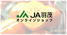 JA羽茂”まるは”おけさ柿PRムービー　ロングバージョン